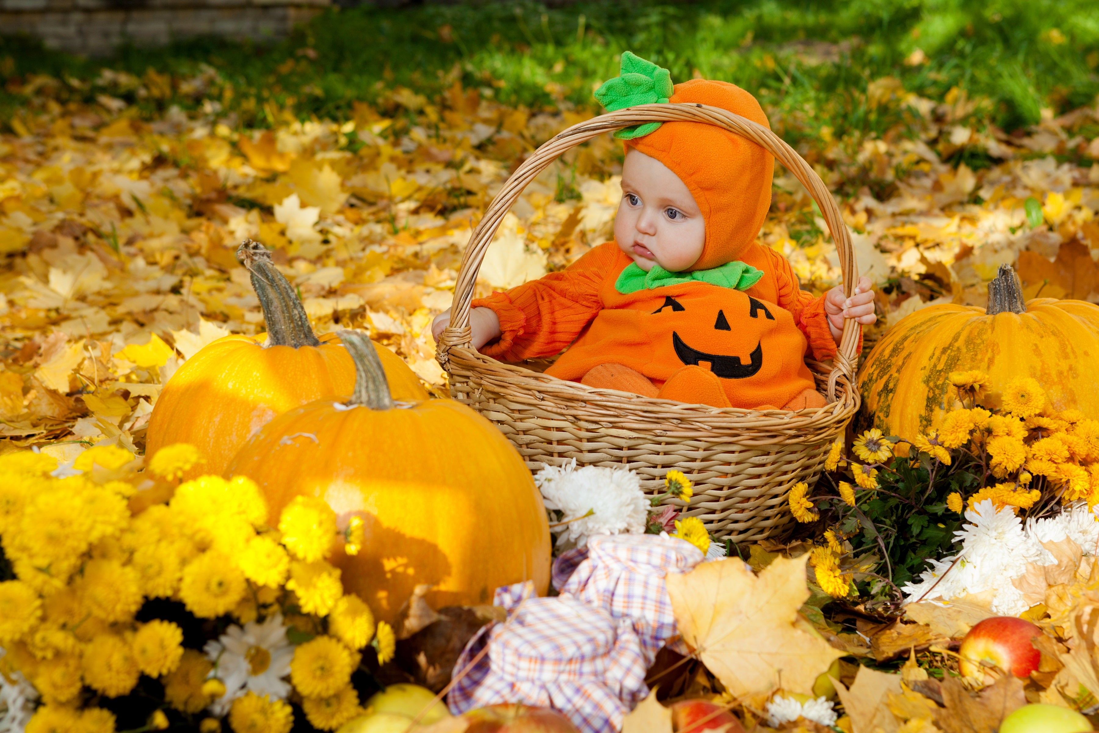 How to Have A Hauntingly Fun Halloween