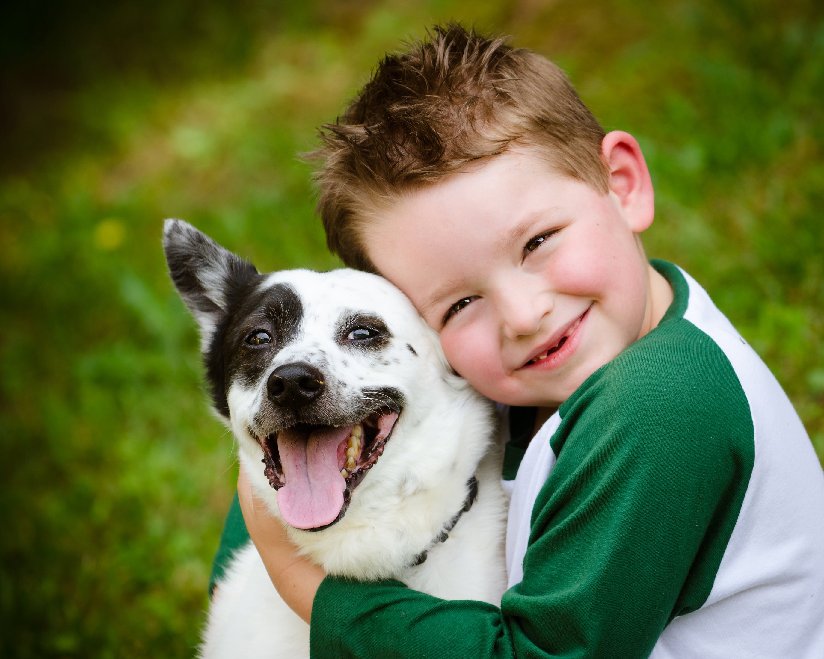 Smiling young boy hugging a happy black-and-white dog outdoors on a grassy background.